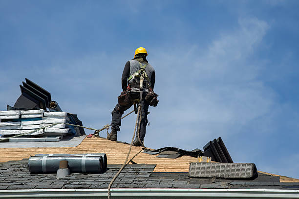 Professional Roofing technician working in Panama, NE
